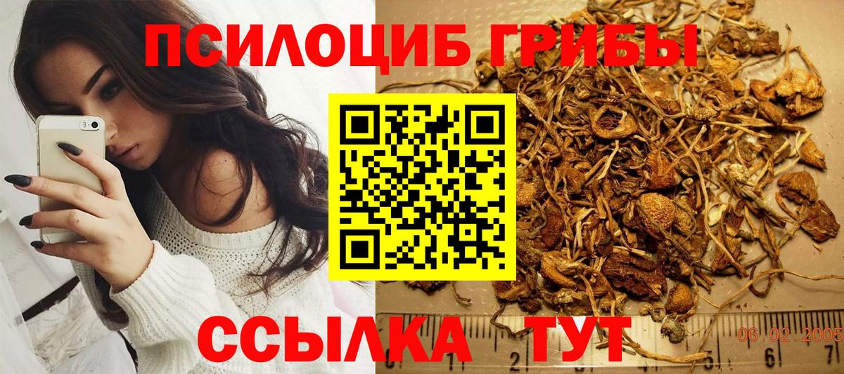 Псилоцибиновые грибы мицелий  Вход с VPN  Галлюциногенные грибы MAGIC MUSHROOMS  наркота  Зеленокумск 